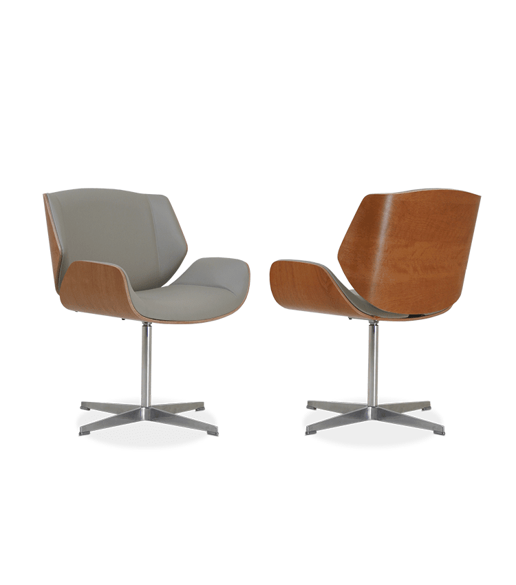 SPOT Concha Madeira2